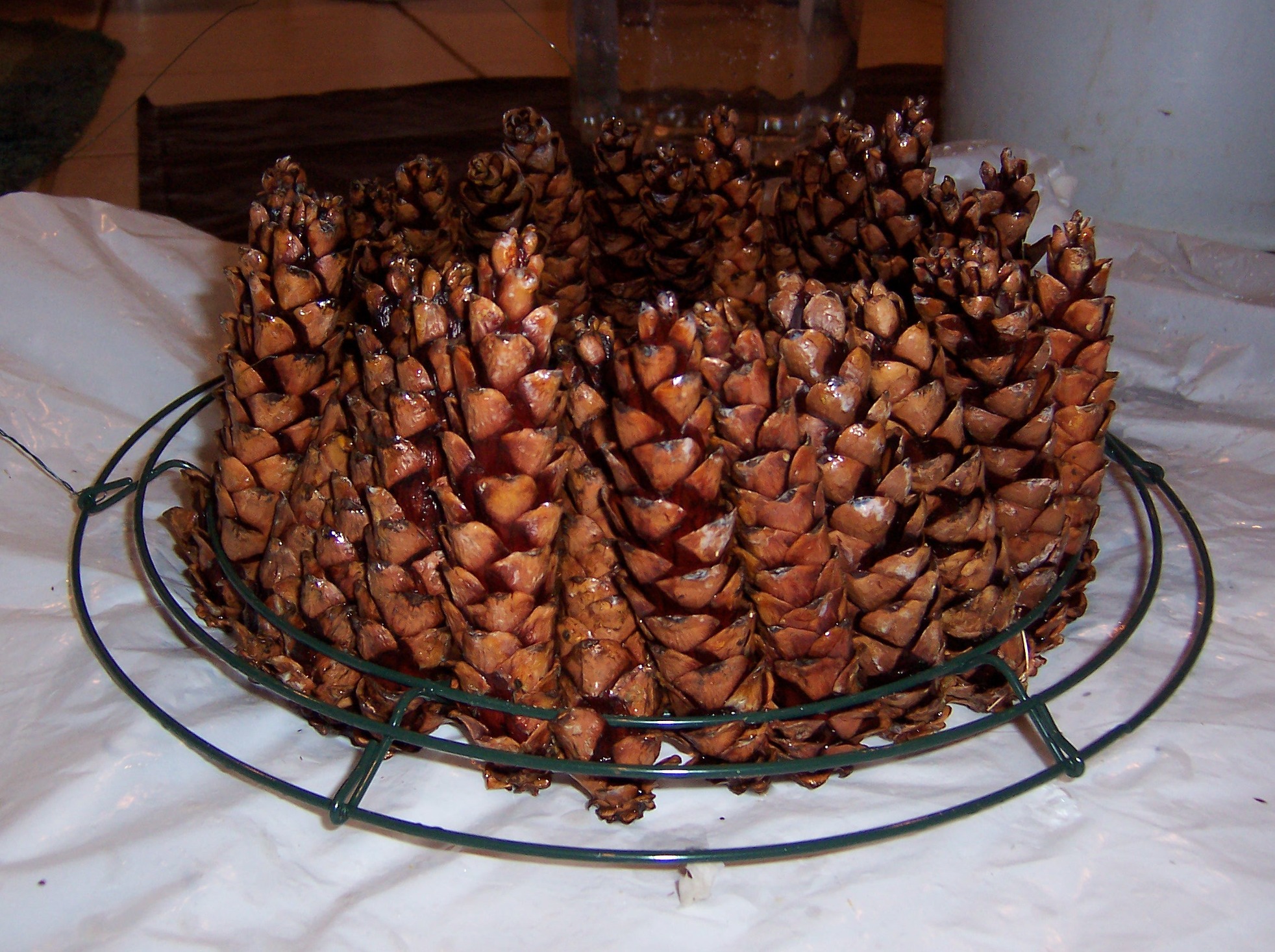 pinecones (15)e